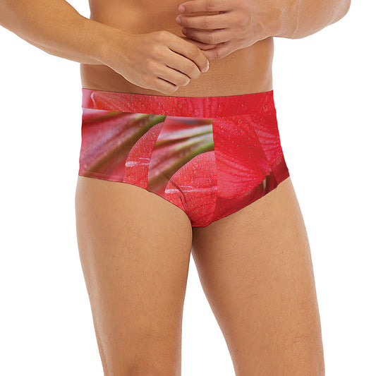 Blooming Amaryllis Print Men's Briefs