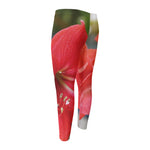 Blooming Amaryllis Print Men's Compression Pants