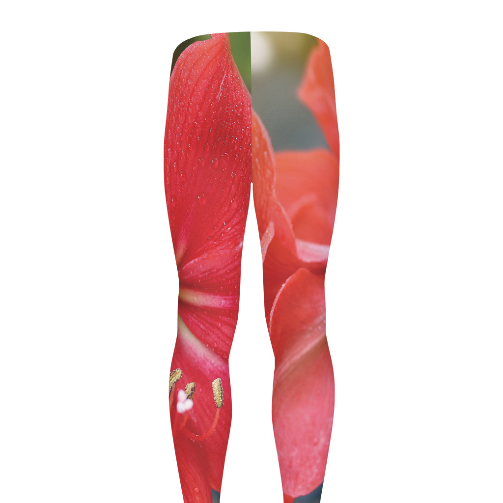 Blooming Amaryllis Print Men's leggings