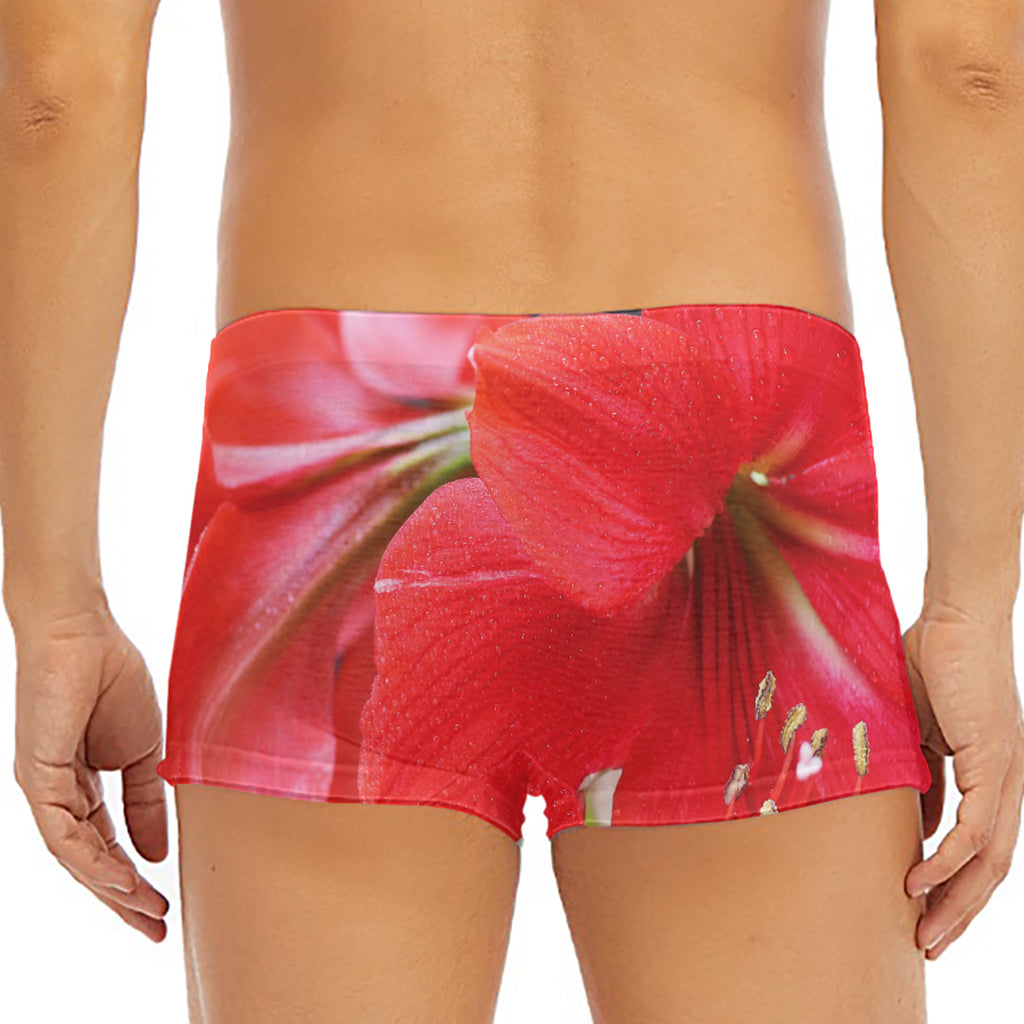 Blooming Amaryllis Print Men's Short Boxer Briefs