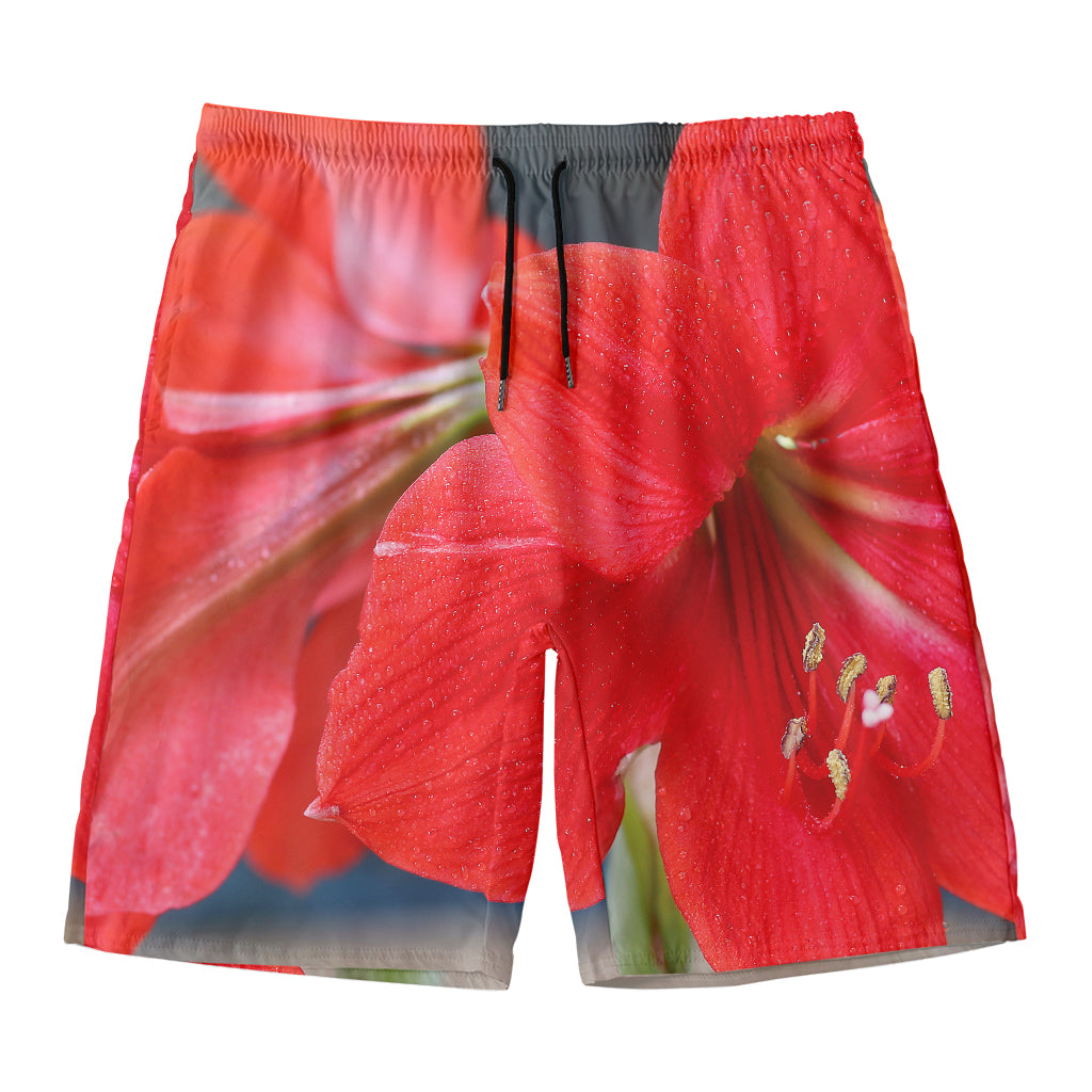 Blooming Amaryllis Print Men's Swim Trunks