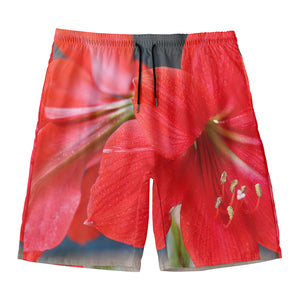 Blooming Amaryllis Print Men's Swim Trunks