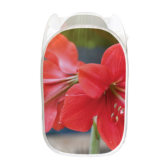Blooming Amaryllis Print Mesh Laundry Hamper