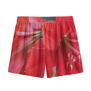 Blooming Amaryllis Print Mesh Shorts