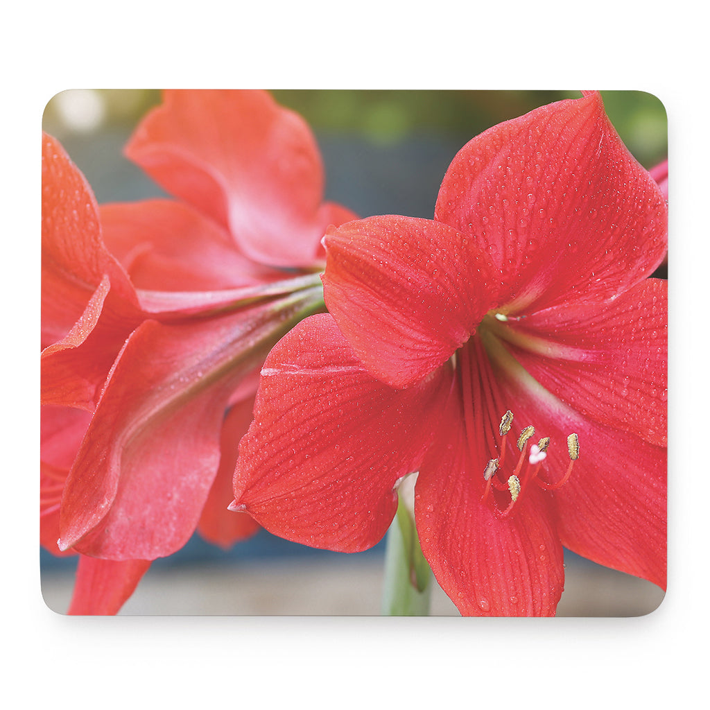 Blooming Amaryllis Print Mouse Pad
