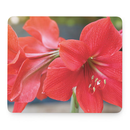 Blooming Amaryllis Print Mouse Pad
