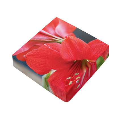 Blooming Amaryllis Print Outdoor Seat Cushion Cover