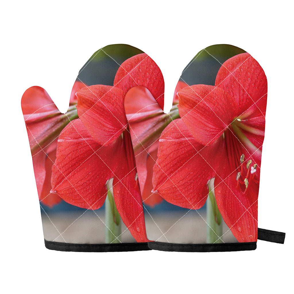 Blooming Amaryllis Print Oven Mitts