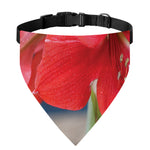 Blooming Amaryllis Print Over The Collar Dog Bandana