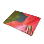 Blooming Amaryllis Print Pet Cooling Mat Cover