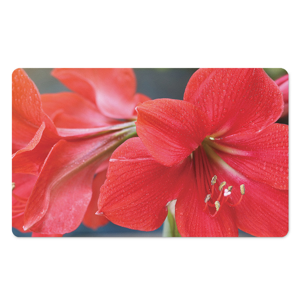 Blooming Amaryllis Print Polyester Doormat
