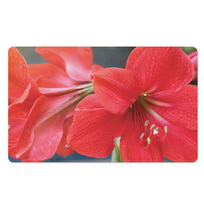 Blooming Amaryllis Print Polyester Doormat