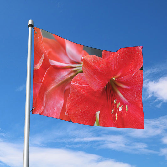 Blooming Amaryllis Print Polyester Flag