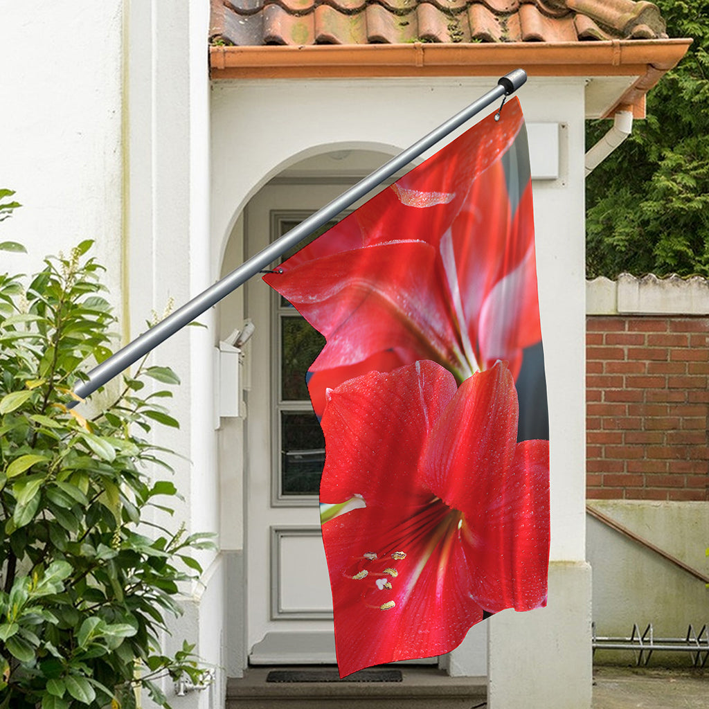 Blooming Amaryllis Print Polyester Flag