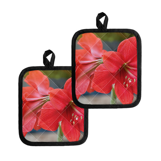 Blooming Amaryllis Print Pot Holders