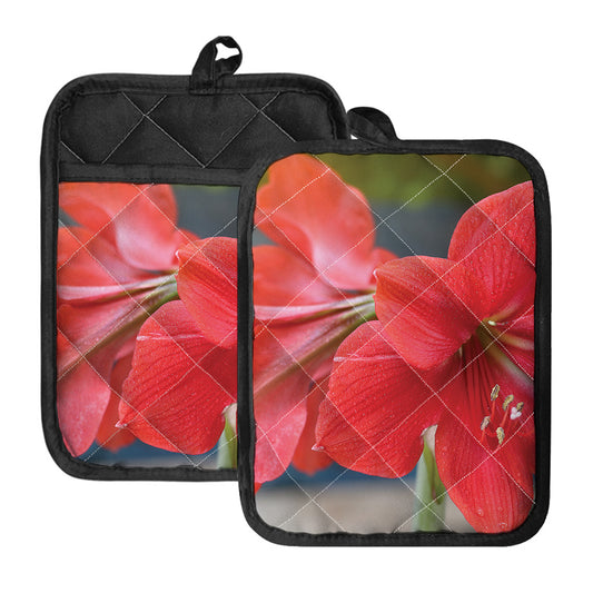 Blooming Amaryllis Print Pot Holders With Pocket