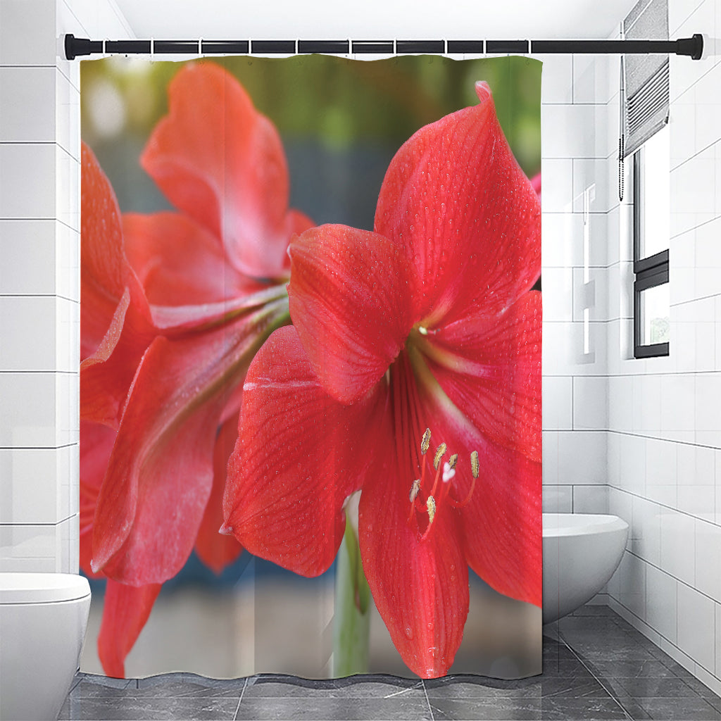 Blooming Amaryllis Print Premium Shower Curtain