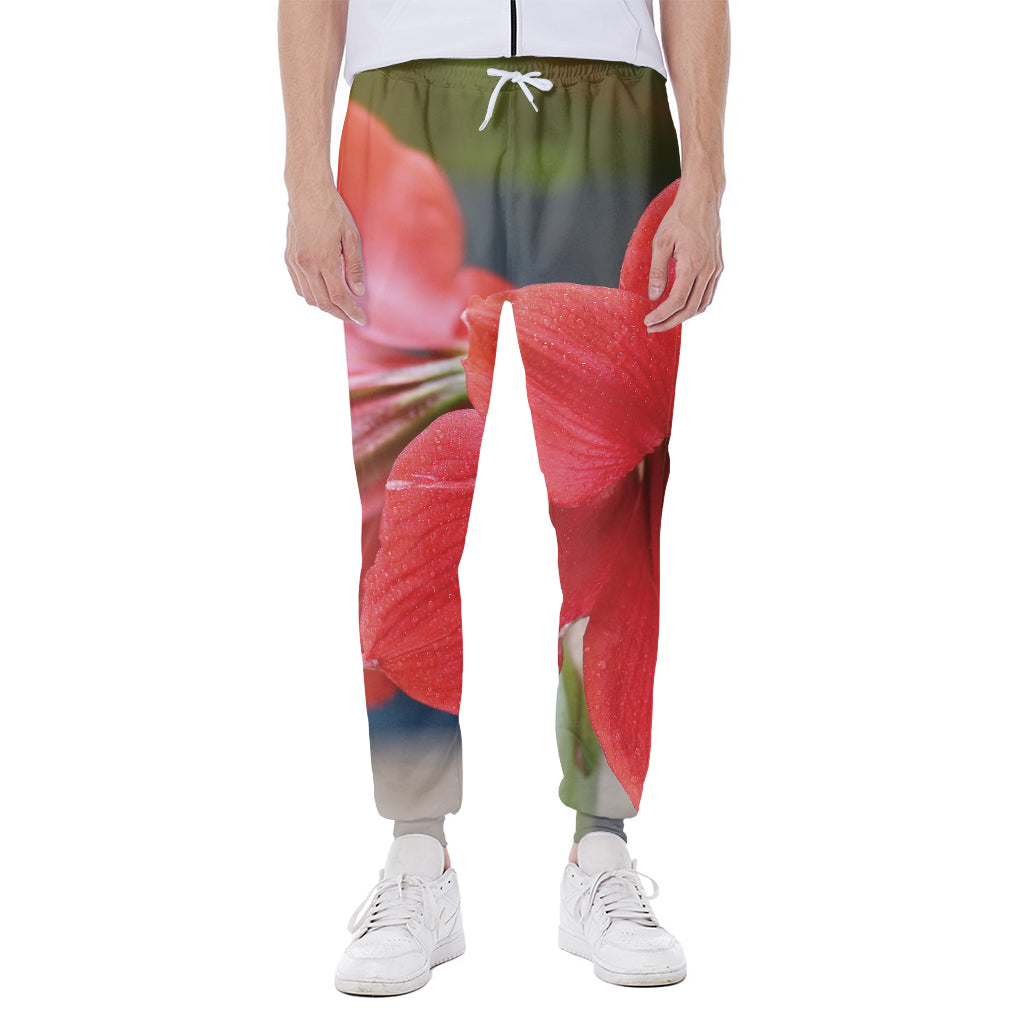 Blooming Amaryllis Print Scuba Joggers