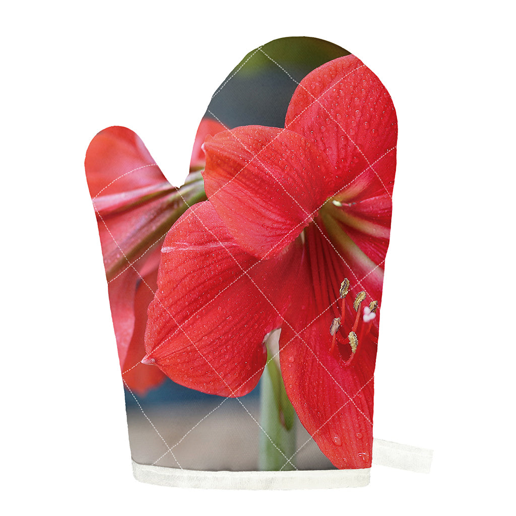 Blooming Amaryllis Print Single Oven Mitt
