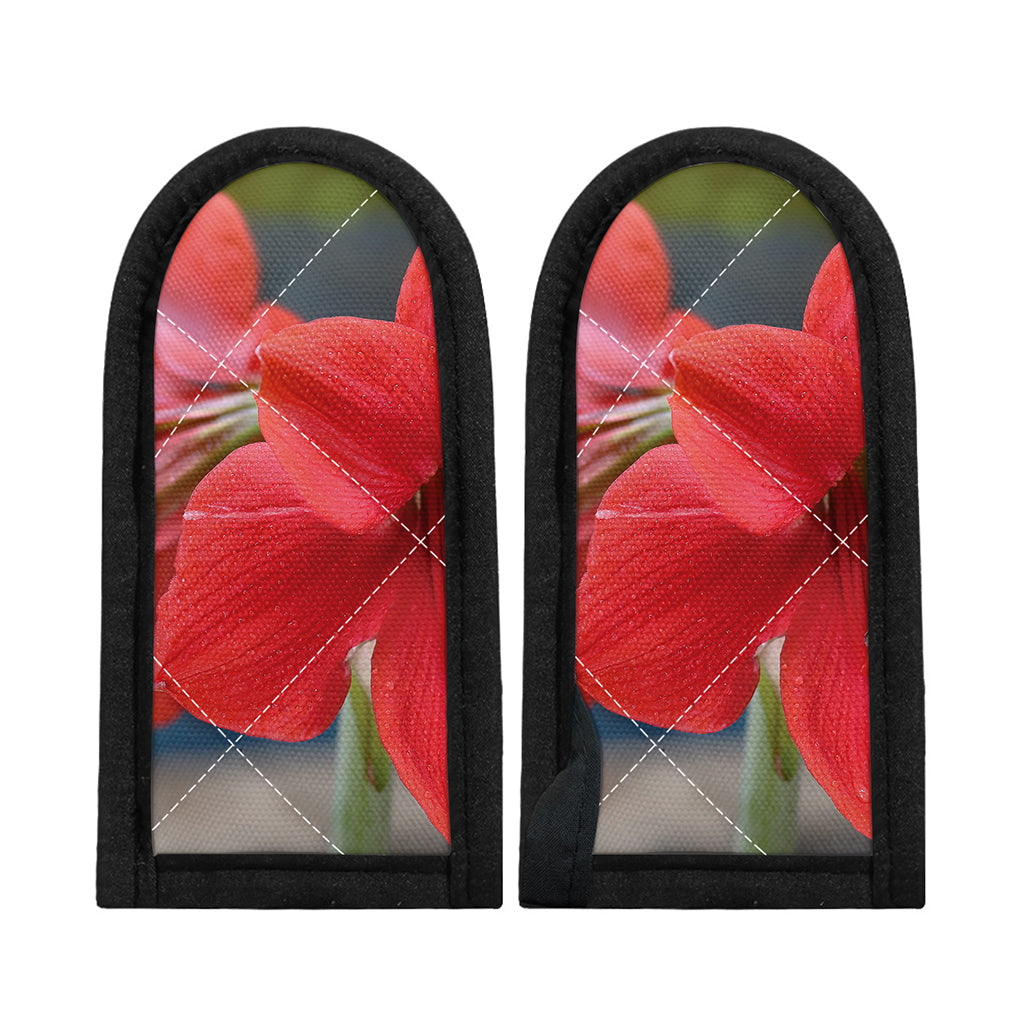 Blooming Amaryllis Print Skillet Handle Cover