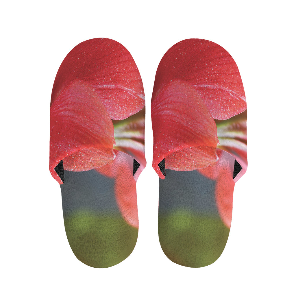Blooming Amaryllis Print Slippers