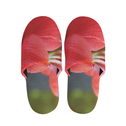 Blooming Amaryllis Print Slippers