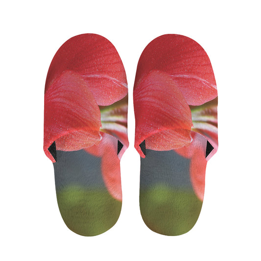 Blooming Amaryllis Print Slippers