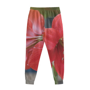 Blooming Amaryllis Print Sweatpants