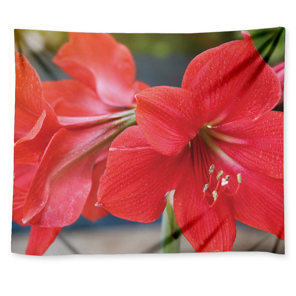 Blooming Amaryllis Print Tapestry