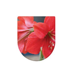 Blooming Amaryllis Print Toilet Lid Cover