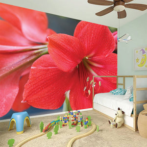 Blooming Amaryllis Print Wall Sticker