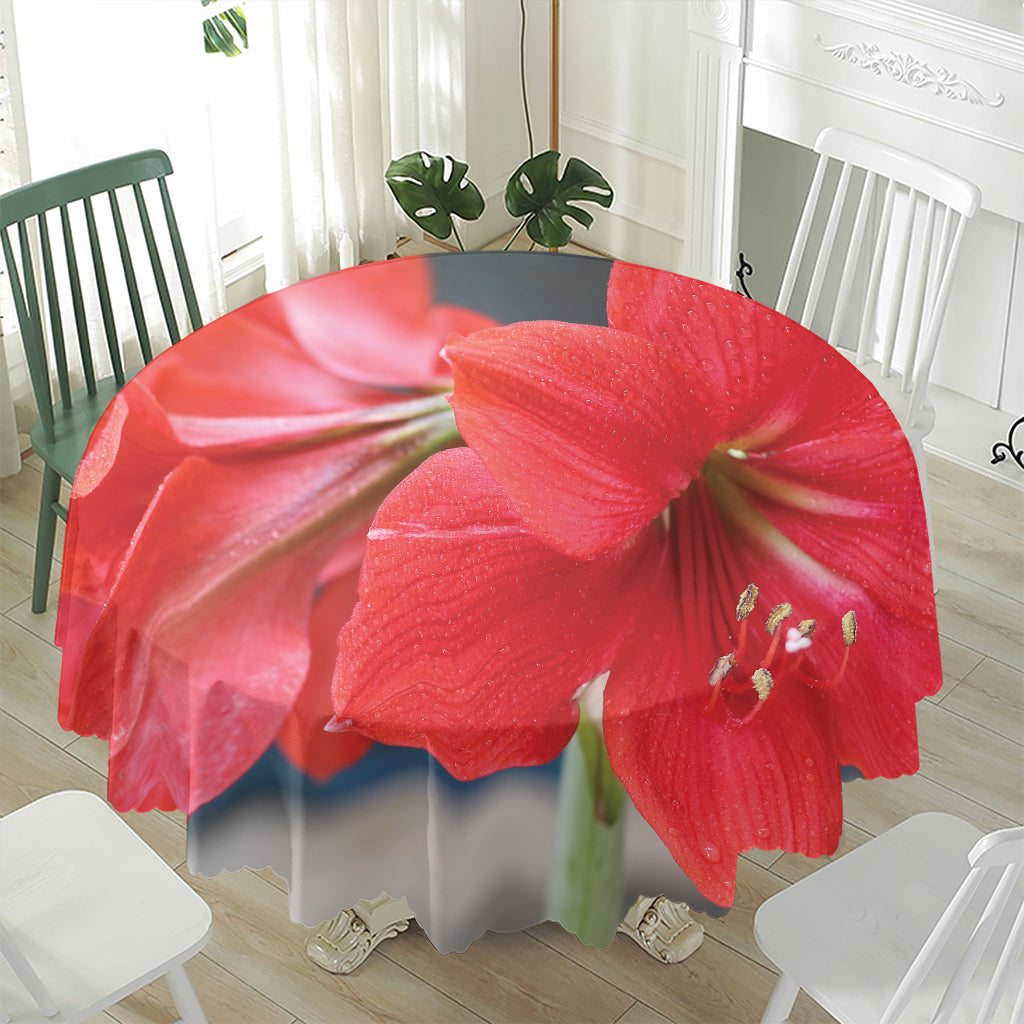 Blooming Amaryllis Print Waterproof Round Tablecloth