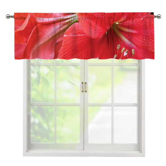 Blooming Amaryllis Print Window Valance