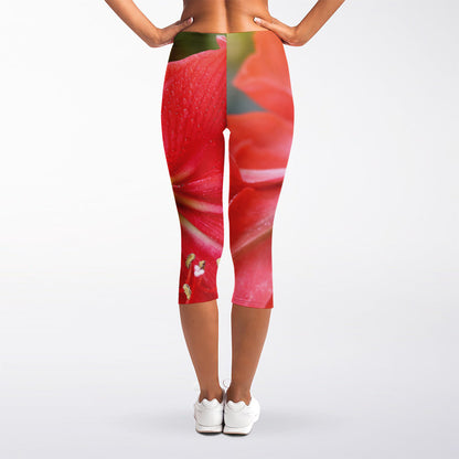 Blooming Amaryllis Print Women's Capri Leggings