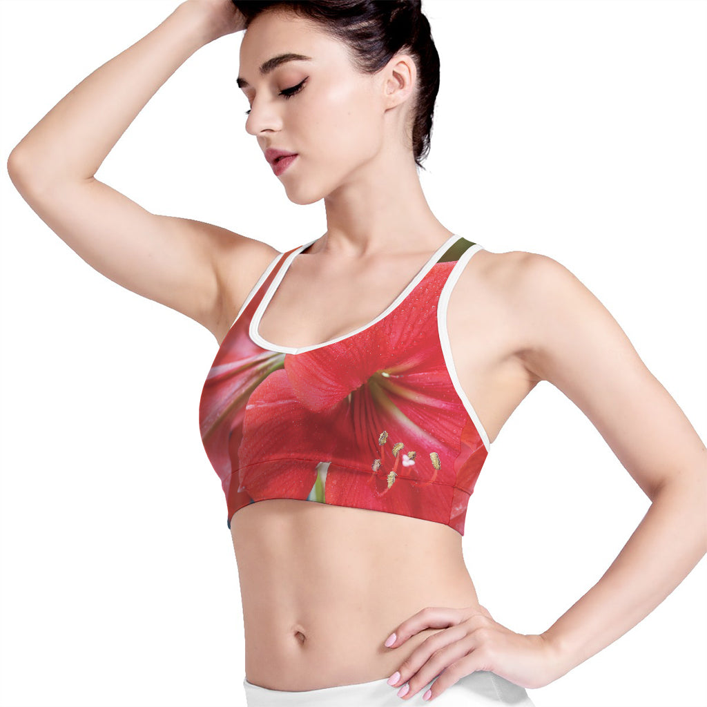 Blooming Amaryllis Print Women's Sports Bra