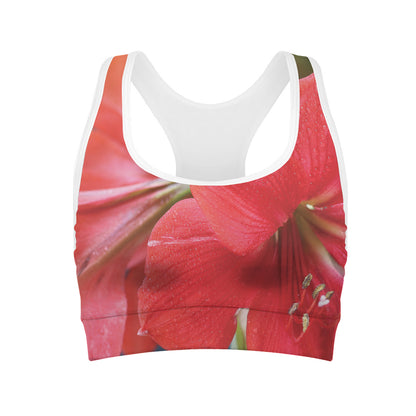 Blooming Amaryllis Print Women's Sports Bra