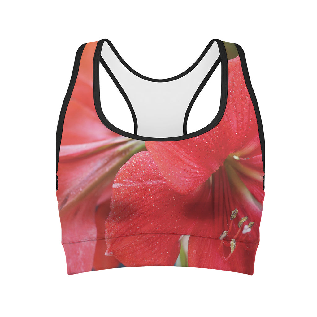 Blooming Amaryllis Print Women's Sports Bra