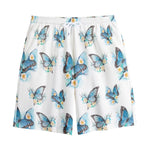 Blossom Blue Butterfly Pattern Print Cotton Shorts
