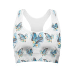 Blossom Blue Butterfly Pattern Print Women's Sports Bra