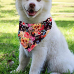 Blossom Peony Skull Pattern Print Over The Collar Dog Bandana