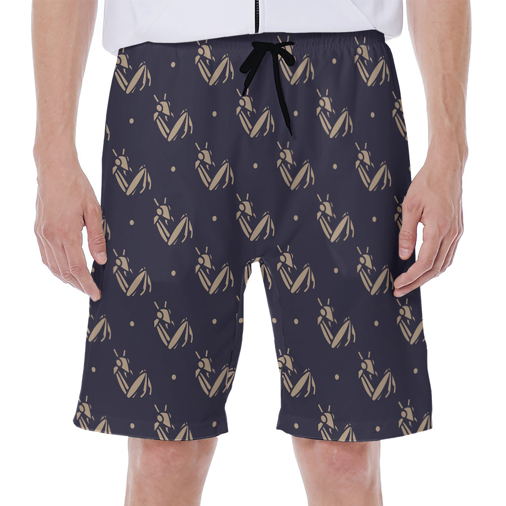 Blue And Beige Mantis Pattern Print Men's Beach Shorts