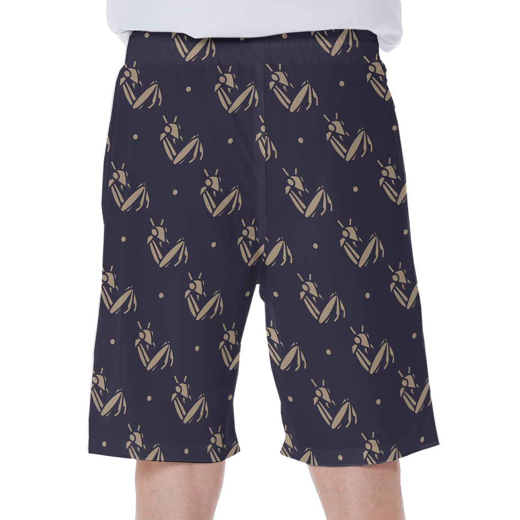 Blue And Beige Mantis Pattern Print Men's Beach Shorts