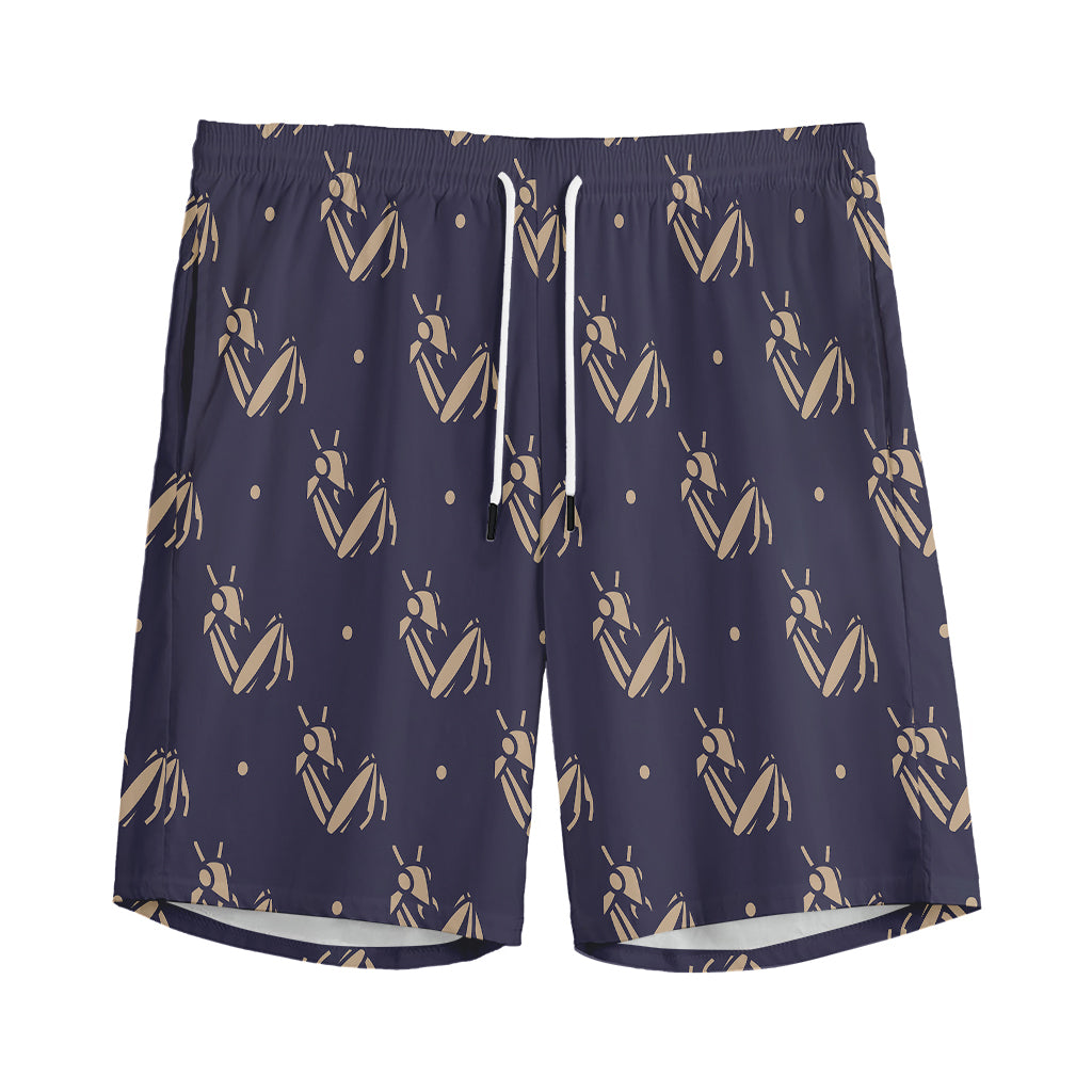 Blue And Beige Mantis Pattern Print Men's Sports Shorts