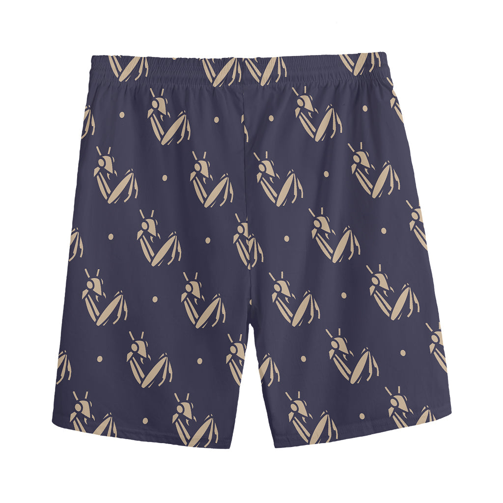 Blue And Beige Mantis Pattern Print Men's Sports Shorts