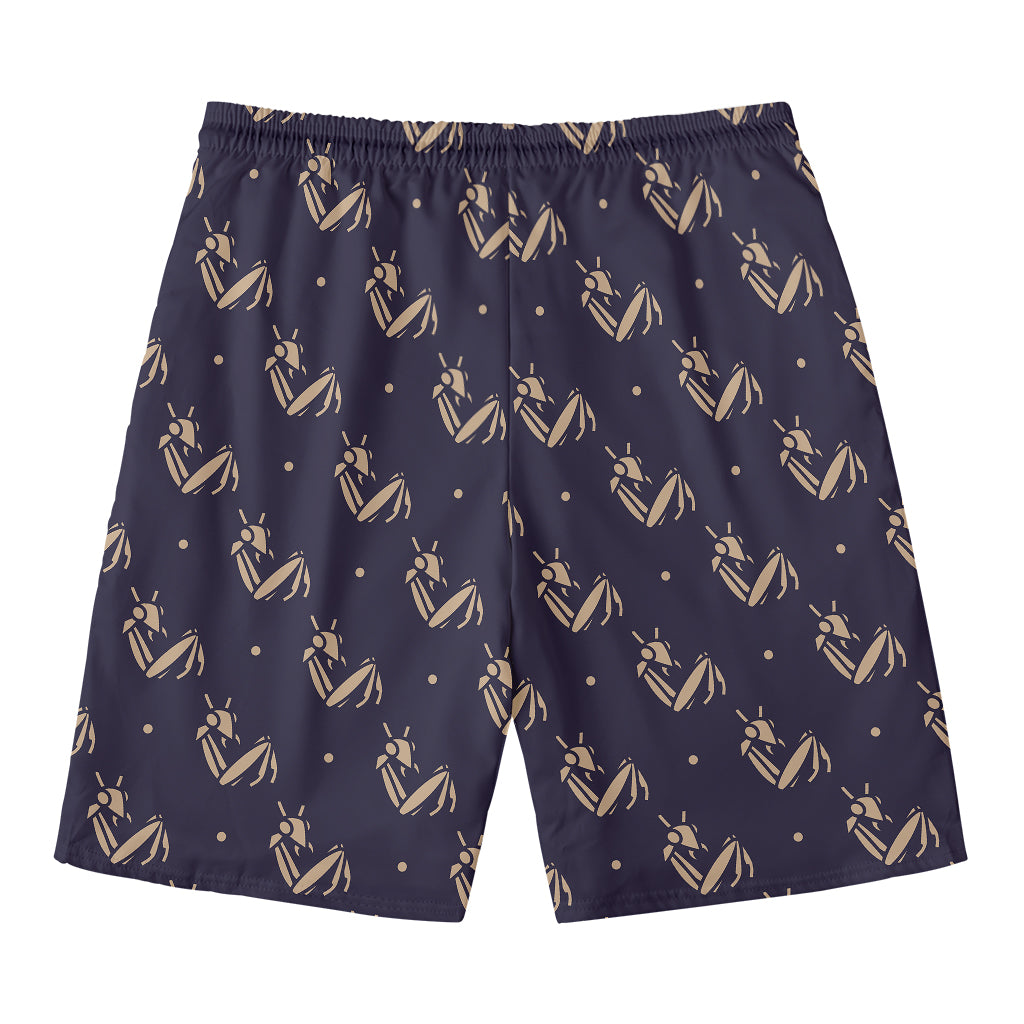 Blue And Beige Mantis Pattern Print Men's Swim Trunks
