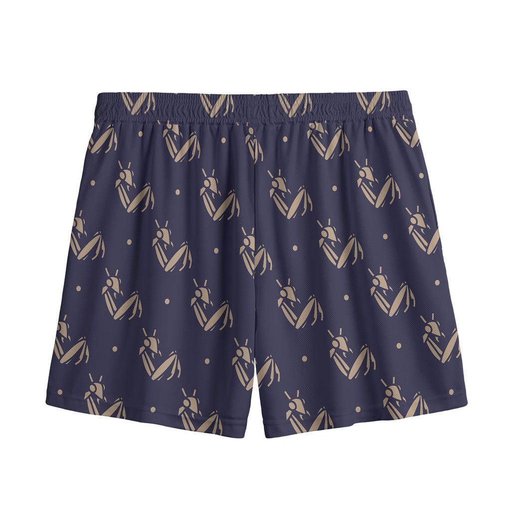 Blue And Beige Mantis Pattern Print Mesh Shorts