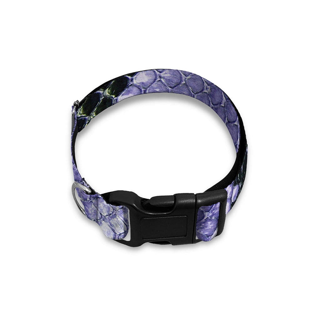 Blue And Black Snakeskin Print Dog Collar