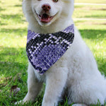 Blue And Black Snakeskin Print Over The Collar Dog Bandana