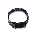 Blue And Brown Damask Pattern Print Dog Collar