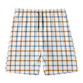 Blue And Brown Tattersall Pattern Print Men's Swim Trunks